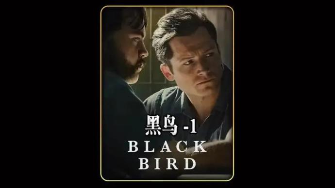 《黑鸟》电影1-2集解说，看完第二集，脑瓜子嗡嗡响的图片 -第1张