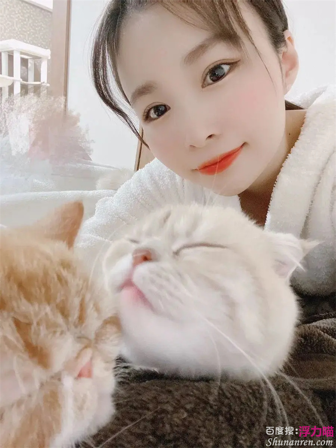 河合あすな（河合明日菜），辉煌的出道及发展历程